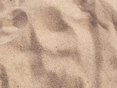 棕砂聚焦照片